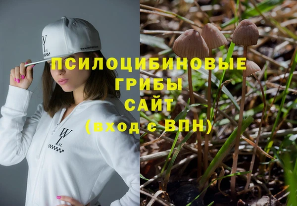 метадон Армянск