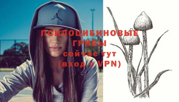 бошки Аркадак