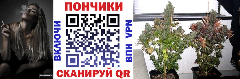Марихуана MAZAR  где можно купить   Таруса 